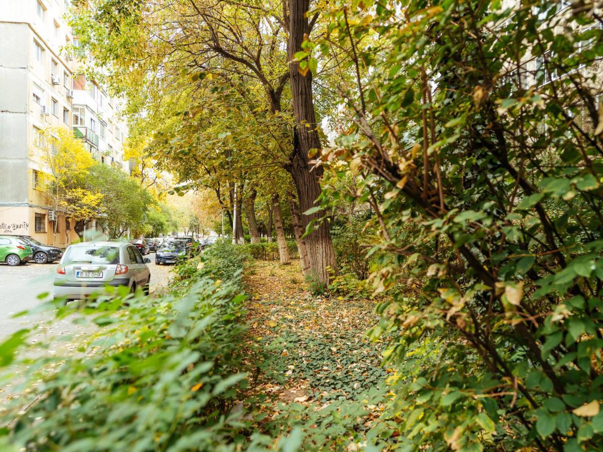 Woody - Cozy And Quiet Place Near Moghioros Park Бухарест Экстерьер фото